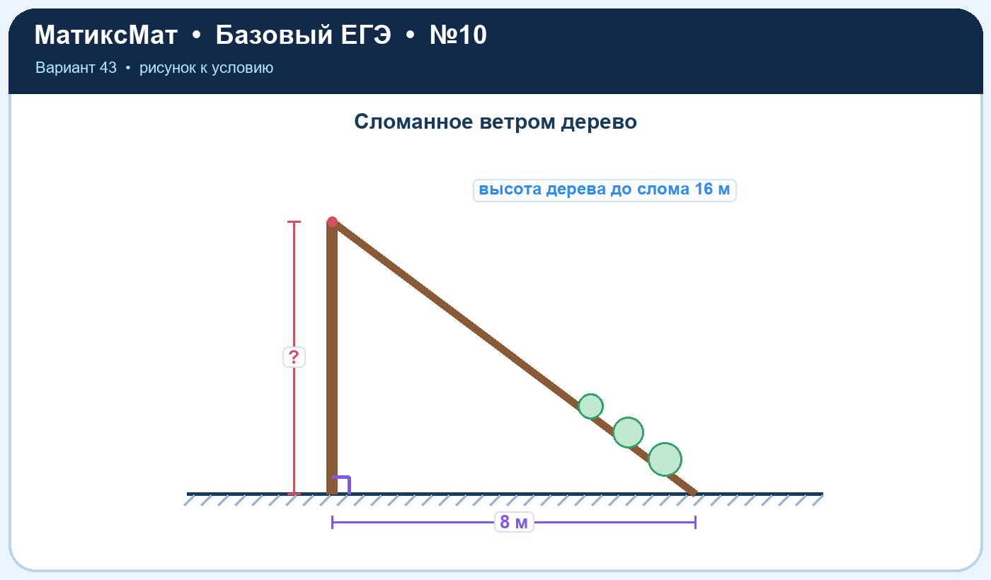 Рисунок к задаче 43, ЕГЭ БАЗА задание 10