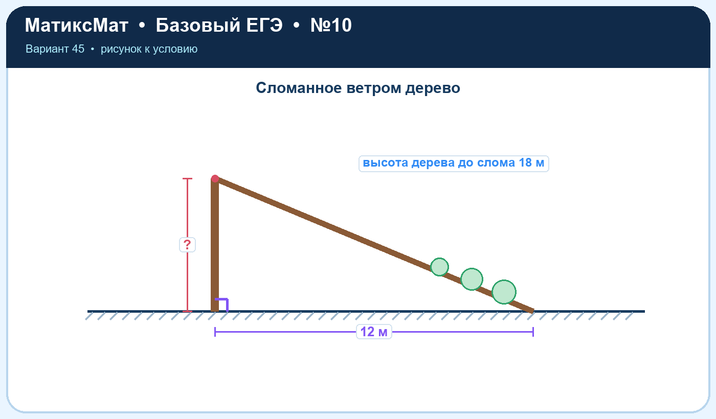 Рисунок к задаче 45, ЕГЭ БАЗА задание 10