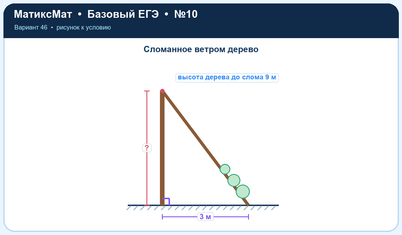 Рисунок к задаче 46, ЕГЭ БАЗА задание 10
