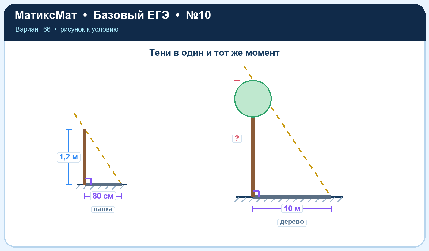 Рисунок к задаче 66, ЕГЭ БАЗА задание 10